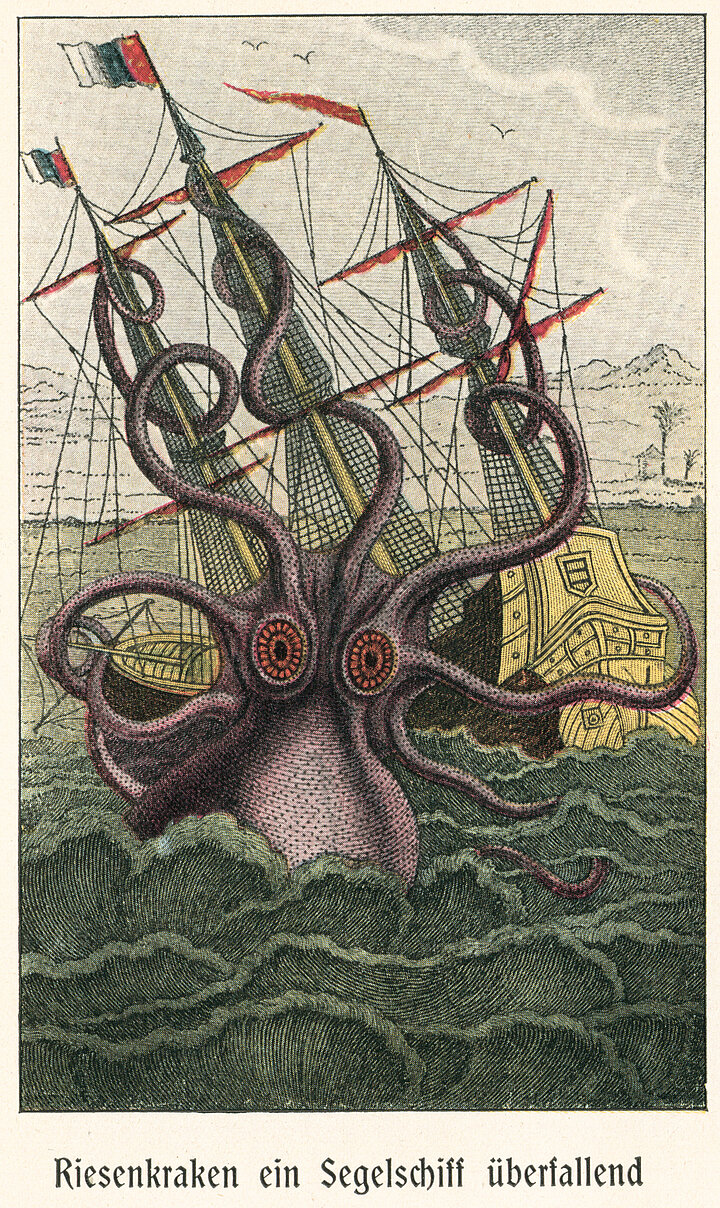 grafika dekoracyjna